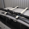 Transport-bag Thule SkiClick 7295 bag