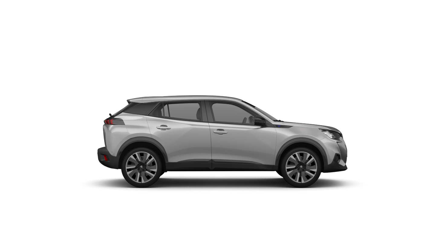 PARTNER Stor limousin (5_, G_)